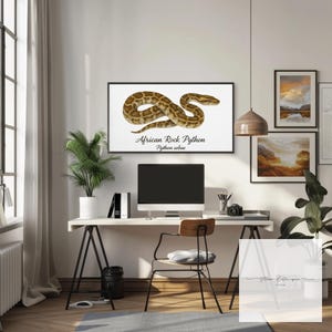 May include: A framed print of an African Rock Python, Python sebae, is displayed above a desk. The snake is illustrated in brown and tan tones. The desk features a computer, a wooden chair, and a potted plant. Other framed landscape art is on the wall.