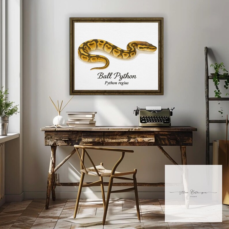 Kungspyton (Python regius) Akvarell Vetenskaplig Illustration Tryck – bild 2