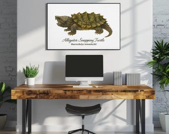 Alligatorsköldpadda (Macrochelys temmincii) Akvarell vetenskaplig illustration – A4