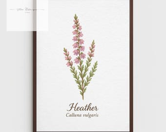 Heather Botanical Print – Vintage Floral A4 Wall Art do dekoracji domu