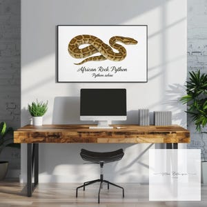 Op de afbeelding: Een ingelijste print met een illustratie van een Afrikaanse rots Python, Python sebae, in bruin- en beigetinten. Het kunstwerk hangt boven een houten bureau met een computer, boeken en een zwarte stoel. De tekst "African Rock Python" en "Python sebae" staat eronder.