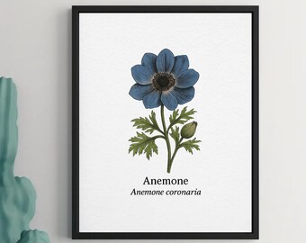 Anemone Botanical Print – Vintage Floral A4 Wall Art for Home Decor