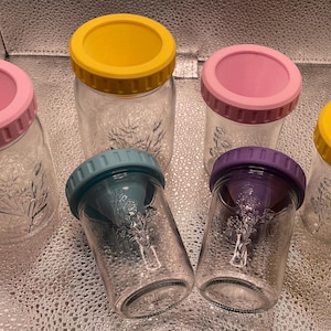 May include: Six clear glass mason jars with colourful lids in pink, yellow, teal, and purple. The jars have a floral design etched on the front. The lids are made of plastic.