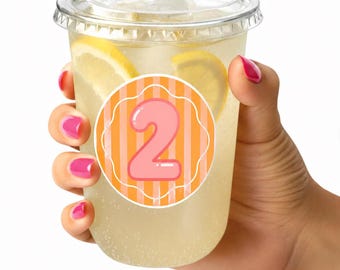 Personalized Birthday Stickers | Custom Party Favor Labels | Birthday Stickers | Cup Stickers | Treat Bag Labels | Birthday Party Decor