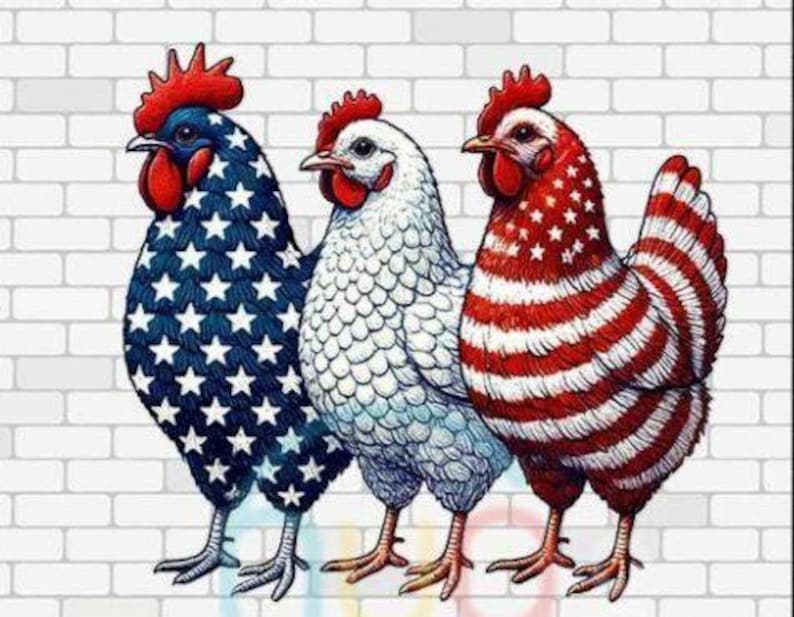 May include: Three rooster illustrations with patriotic designs. One rooster is blue with white stars, another is white, and the third is red and white striped with white stars. The roosters stand in front of a white brick wall.