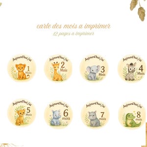 Cartes étapes bébé safari – 12 cartes mensuelles à imprimer