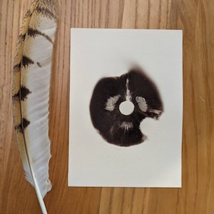 Puede incluir: Un primer plano de una mancha de tinta negra y blanca sobre un fondo blanco. La mancha de tinta es circular y tiene un centro blanco.