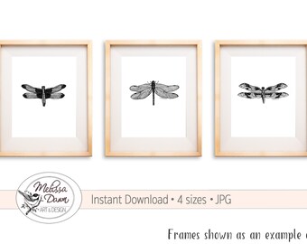 Dragonfly Art / Dragonfly Print / Dragonfly Printable / Dragonfly Wall Art / Dragonfly Illustration / Insect Art Print / Black White Bug Art