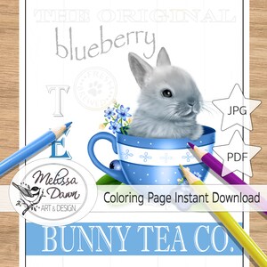 Rabbit Coloring Book: Adult Coloring Books for Rabbit Owner, Best