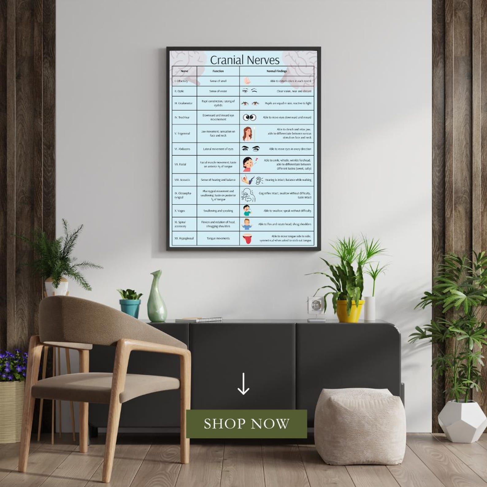 RN LPN Cranial Nerves Study Poster INSTANT Digital Download - Etsy