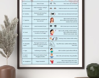 RN LPN Cranial Nerves Study Poster INSTANT Digital Download - Etsy