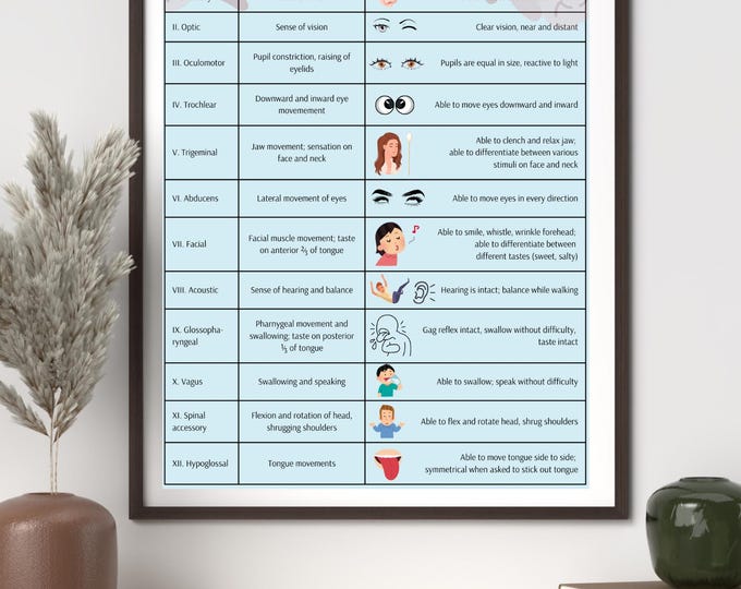 RN LPN Cranial Nerves Study Poster INSTANT Digital Download - Etsy