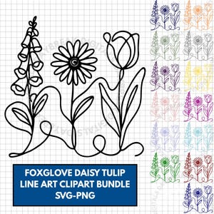 Subtle FDT Flowers Hand Drawn Clipart Bundle | Foxglove Daisy Tulip (Digital Download)