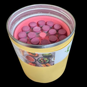 May include: A yellow cylindrical container with a metallic rim, holding a pink circular insert filled with numerous small glass vials topped with pink caps. A white label on the side features a photographic collage of various food items.