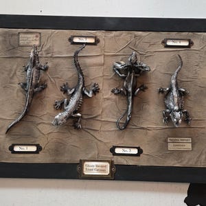 Framed Ghostly Decayed Lizard Carcasses