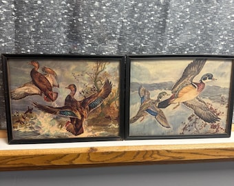 Vintage Charles De Feo Duck Prints Set 2 Framed Mallard Wood Duck Wildlife Art