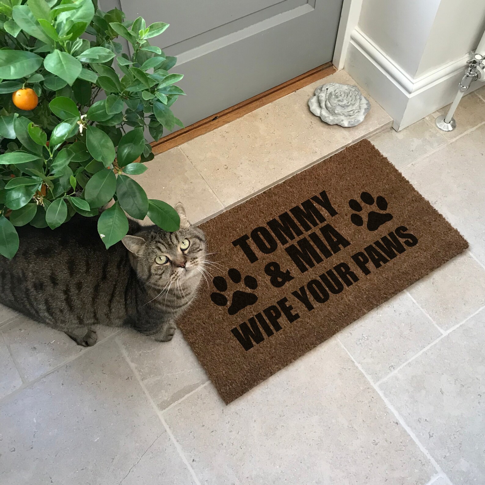 Personalised wipe Your Paws Pet Doormat Dog Lover Cat Etsy UK