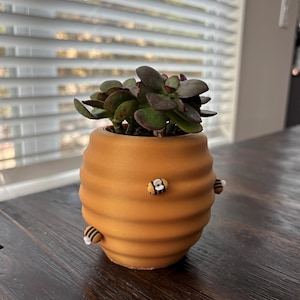 May include: A round, golden-yellow ceramic planter shaped like a beehive with horizontal ridges. The planter features small, three-dimensional bee decorations attached to the exterior and contains a small, dark green succulent plant.