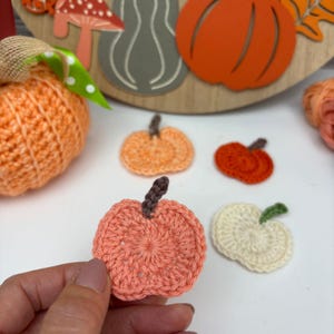 May include: A collection of handmade crochet pumpkins in various shades of orange, peach, and white. The pumpkins have brown stems and green leaves. The image also includes a large orange pumpkin and wooden fall-themed decorations.