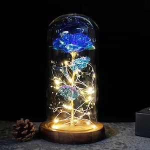 Rose in Glass Dome Led Light Valentines Day Gift Elegant Rose In Glass Dome Gift for Mom Eternal Rose Birthday Gift Forever Galaxy Rose.