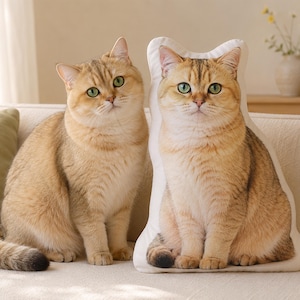 Peut inclure: Un chat British Shorthair doré assis à côté d'un coussin personnalisé découpé à la forme de l'animal, présentant une impression photographique haute résolution du même chat avec ses yeux verts et son pelage aux nuances dorées.