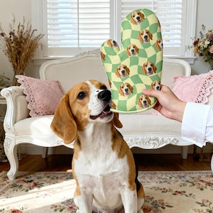 Könnte beinhalten: Ein grün-gelb karierter Ofenhandschuh mit sich wiederholenden Beagle-Gesichtern. Ein braun-weißer Beagle-Hund sitzt daneben. Der Hintergrund umfasst ein weißes Sofa und einen Teppich mit Blumenmuster.