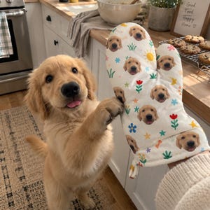 Op de afbeelding: Een witte ovenwant met een herhalend patroon van golden retriever-gezichten, gele zonnen, kleurrijke bloemen en kleine sterren. Het stoffen accessoire toont een print van hondenportretten afgewisseld met diverse natuurlijke iconen.