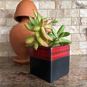 May include: A small succulent plant in a black square planter with a red and white geometric pattern around the top edge.