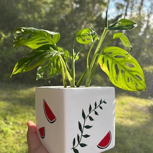 Puede incluir: Una maceta cuadrada blanca con una vid verde frondosa y rodajas de sandía rojas pintadas en ella. Una planta verde frondosa está creciendo en la maceta.