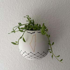 May include: White ceramic wall planter with a black and gold design, holding a green trailing plant. The planter features a black geometric pattern and a gold outline of a map. The plant has small, green, oval-shaped leaves.