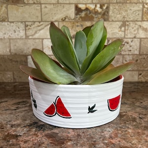 Puede incluir: Maceta de cerámica blanca con una planta suculenta verde. La maceta está decorada con rodajas de sandía rojas y verdes y hojas verdes.