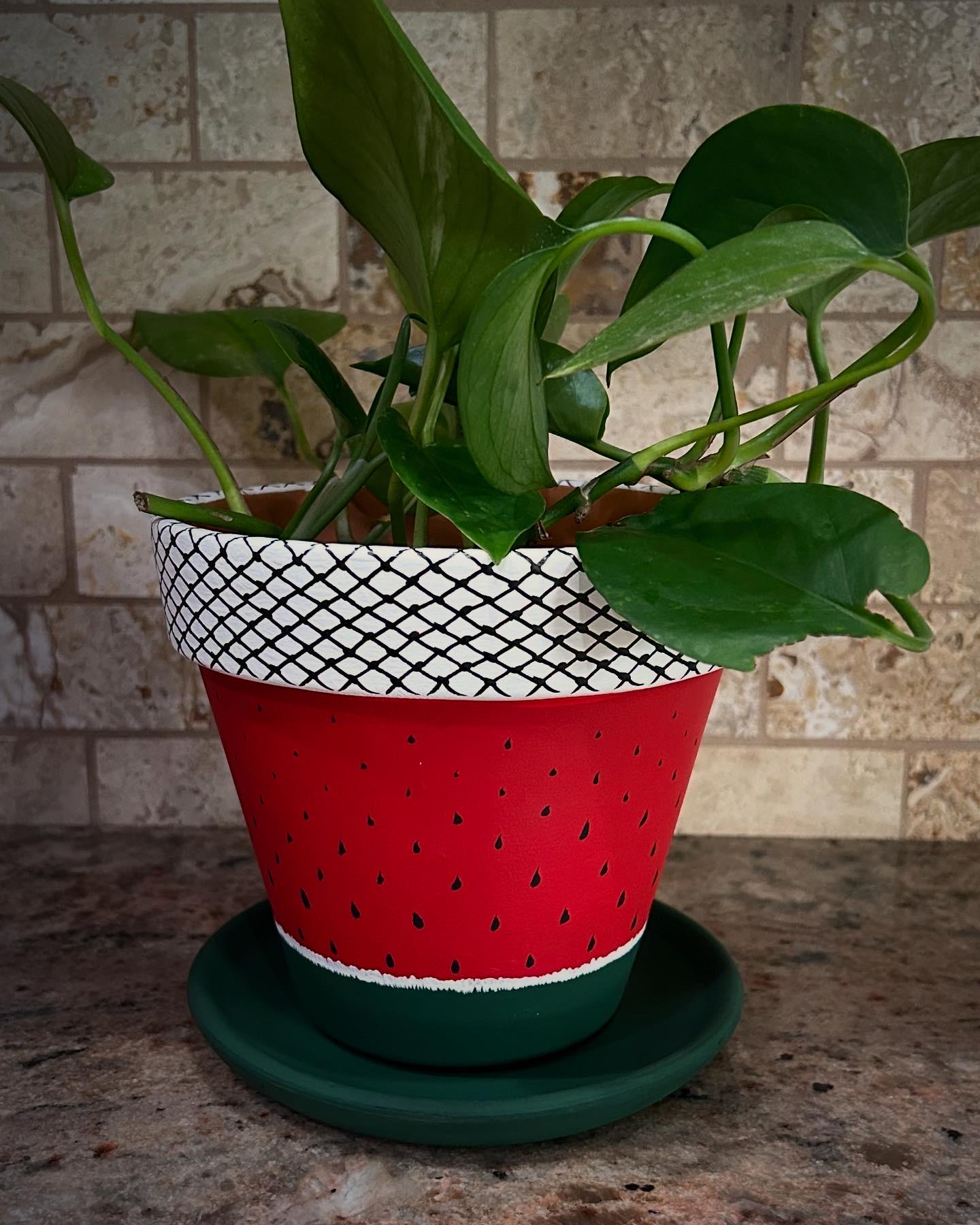 Hand painted 6” terra cotta planter pot. Watermelon keffiyeh Palestine inspired decor.