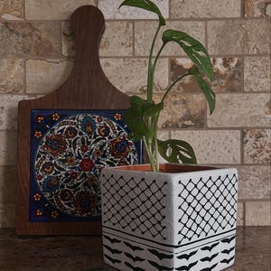 Puede incluir: Una maceta cuadrada blanca con un diseño geométrico negro, que contiene una planta verde con hojas grandes. Una tabla de cortar de madera con una baldosa decorativa está en el fondo.