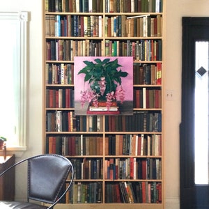 ELEVATION Medinilla Magnifica Plant on Stack of Books image 7