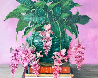 ELEVATION - Medinilla Magnifica Plant on Stack of Books