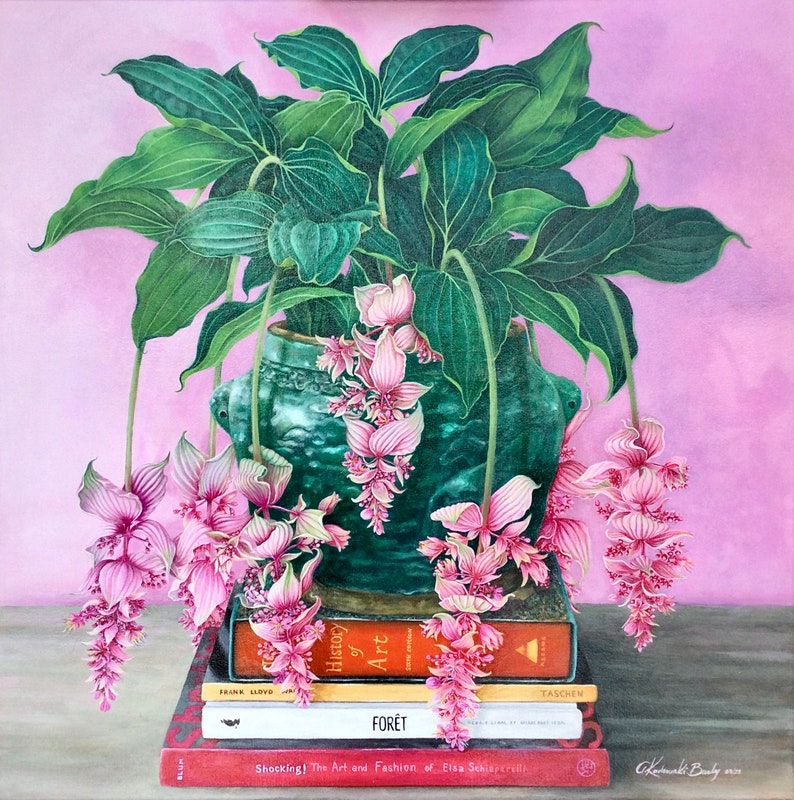 ELEVATION Medinilla Magnifica Plant on Stack of Books image 1