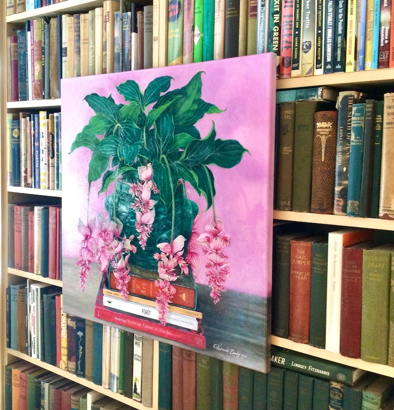ELEVATION Medinilla Magnifica Plant on Stack of Books image 6