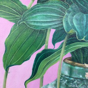 ELEVATION Medinilla Magnifica Plant on Stack of Books image 4