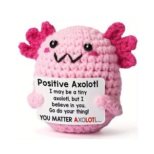 Ornement souvenir au crochet et carte de motivation - Cadeau réconfortant fait main pour un rétablissement rapide, une pensée pour vous ou un encouragement