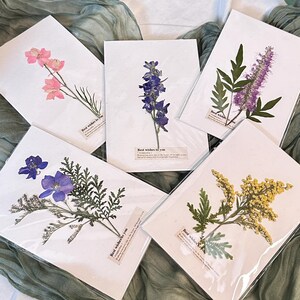 Tarjetas de flores prensadas hechas a mano: juego de tarjetas de felicitación botánicas, papelería floral rústica para cumpleaños y ocasiones especiales.