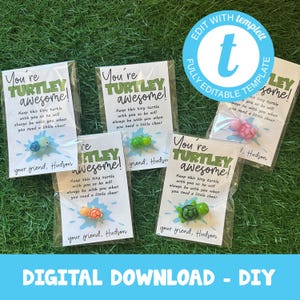 Je bent Turtley Geweldig! Valentijnsdagkaarten Feestartikelen - doe-het-zelfkaarten. Jij bewerkt en je drukt af! Voeg je eigen mini harsschildpadden toe!