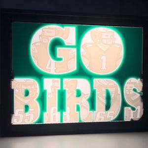 Philadelphia Eagles Lithophane Light Box - „GO BIRDS” Lampka nocna LED - Prezent dla fana futbolu - Eagles Decor