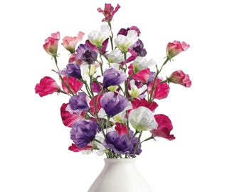 May include: A bouquet of colorful sweet pea flowers in a white vase. The flowers display shades of pink, purple, and white. The vase is a simple, rounded shape, and the background is plain white.