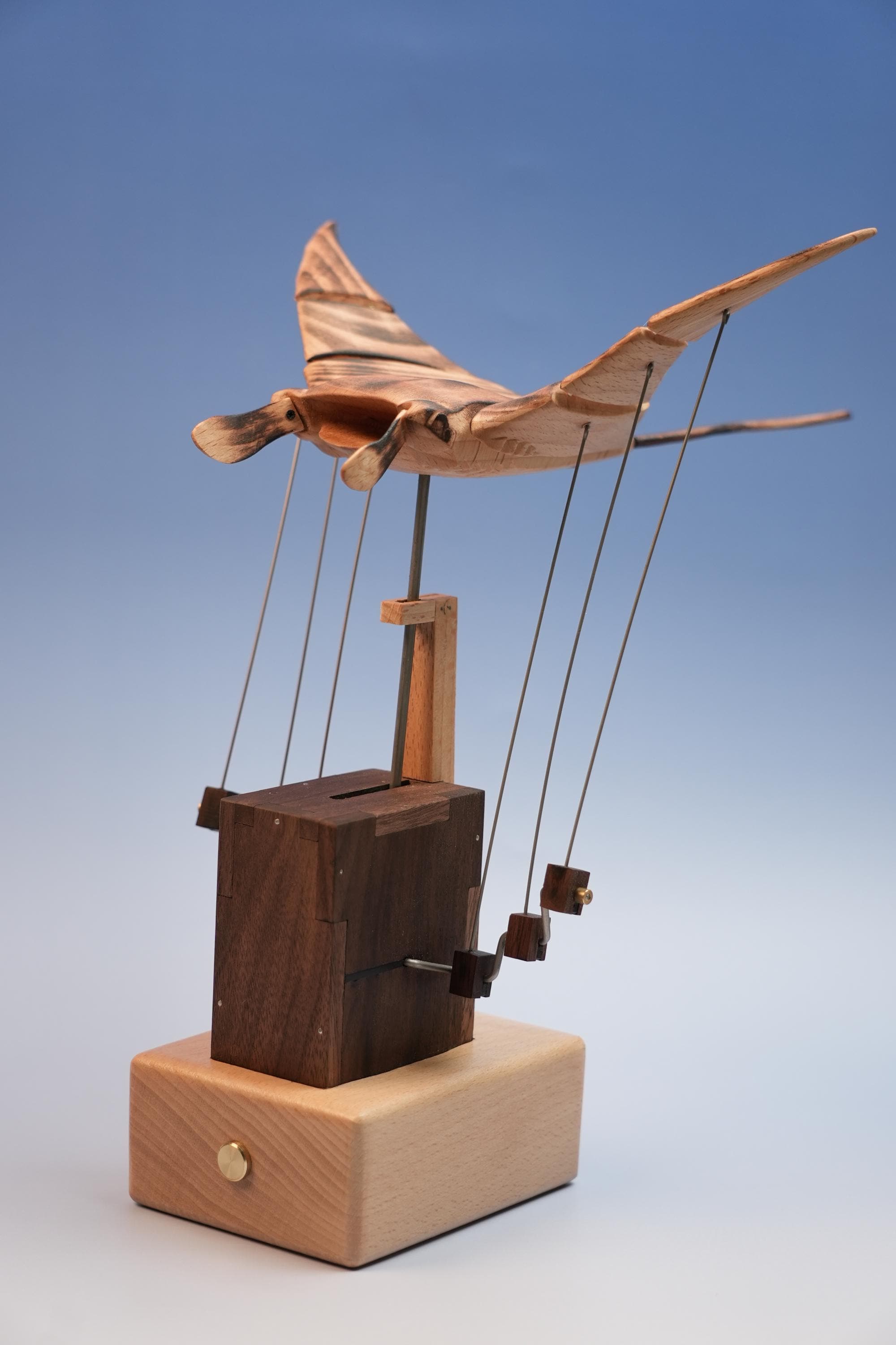 Wood manta ray sculpture - Etsy 日本