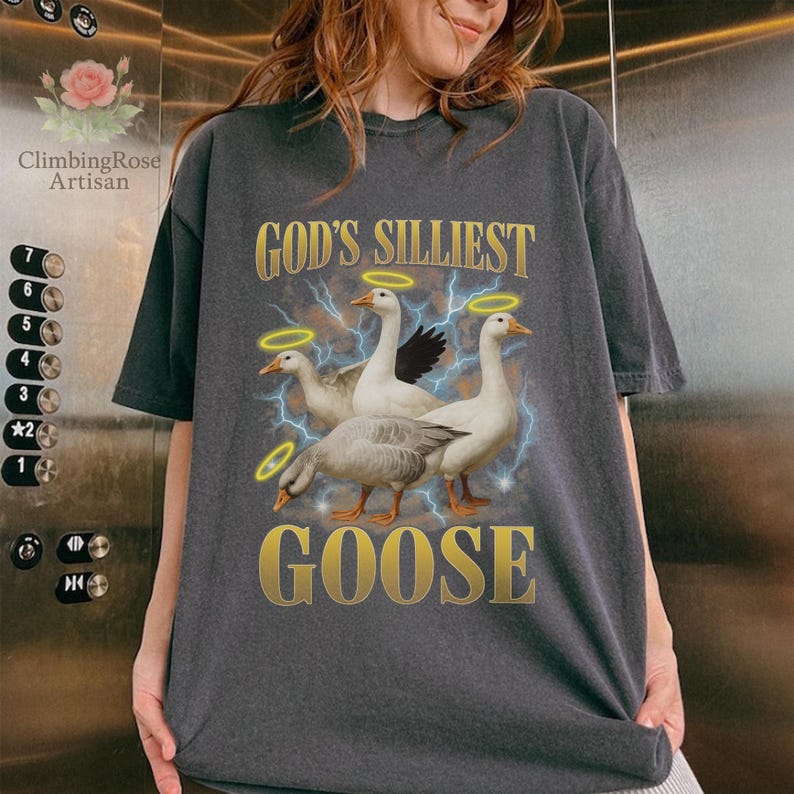 May include: Dark gray t-shirt featuring a graphic of three geese with halos and the text "GOD'S SILLIEST GOOSE" in gold. The geese are set against a backdrop of lightning bolts. The shirt is a relaxed fit.