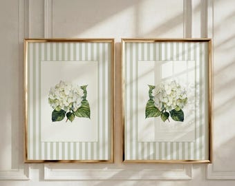White Hydrangea Wall Art Set of 2, Botanical Flower Prints, Cottagecore Decor, Sage Green Floral Artwork, Vintage Garden Digital Download