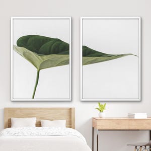 Botanical Wall Art Prints for Wall Decor, Digital Download Plant Poster Set, Minimalist Botanical Printable Art for Home & Office Decor