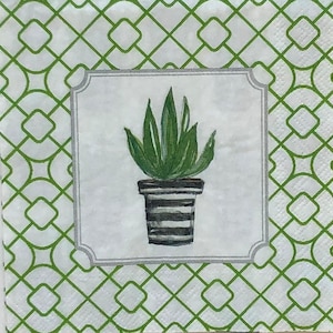 May include: A white napkin with a green geometric pattern. A white frame with a silver border surrounds a drawing of a green potted plant with black and white stripes.