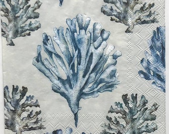 Decoupage Napkin | Blue Coral Paper | Ocean Themed Paper Napkin | Oyster Shell Decoupage | Nautical Scrapbooking Paper | Seagulls | Set Of 3