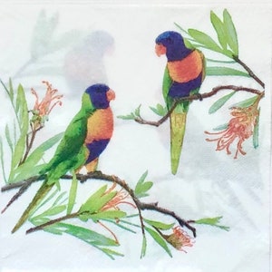 May include: Two colorful lorikeets perched on branches of a leafy green tree with pink flowers. The birds have green, blue, yellow, and orange feathers.